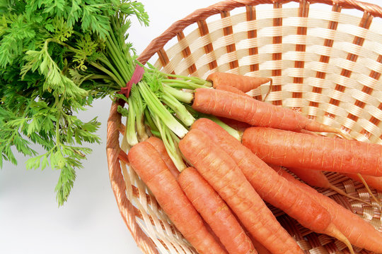Carrots in Basket