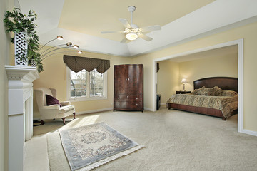 Master bedroom with fireplace