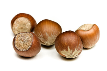 Hazelnuts