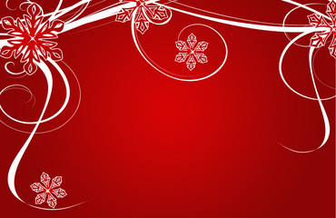 Christmas, Weihnachten, xmas, Blumen, rot