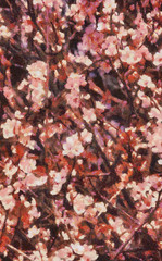 Peach Blossom Background (Portrait)