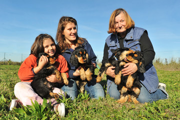Fototapeta premium famille et chiots