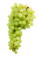 frische Weintrauben isoliert