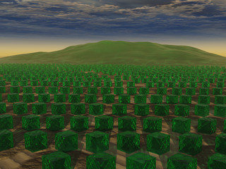 cubos verdes © Pablo Armelles