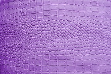 Texture of crocodile leather in lilac