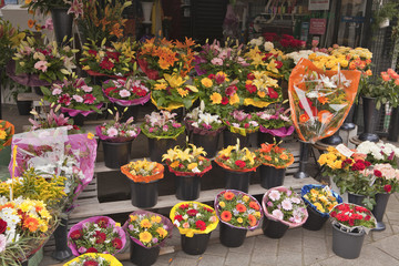 The Flower shop
