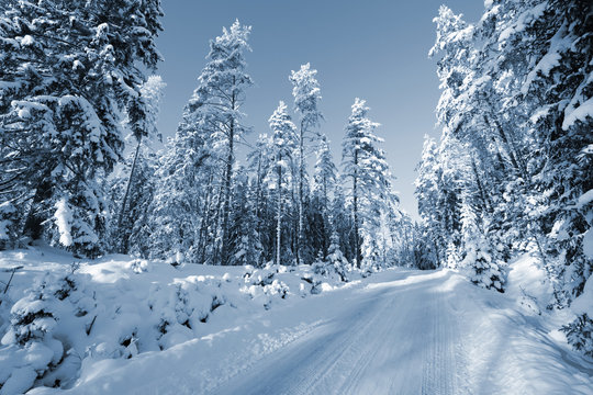 Fototapeta swedish winter scenery