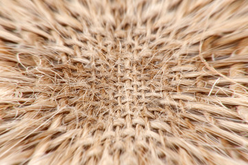 flax