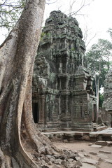 old temple in thailand with big roots of trees