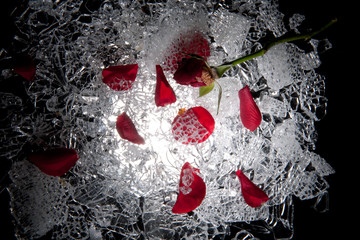 heartsickness