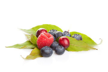 Fresh berries on green leave