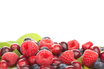 Fresh berries over white background with lots of copyspace