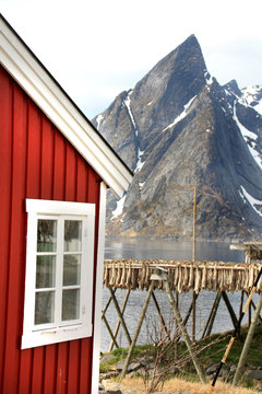 Hamn&oslash;y's rorbu, hjell and mountains