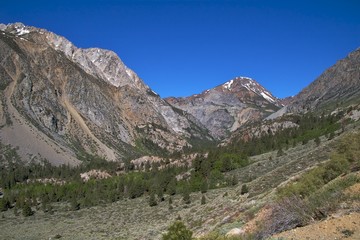 Fototapeta na wymiar Alpejski krajobraz wzdłuż drogi Tioga Pass, Yosemite NP