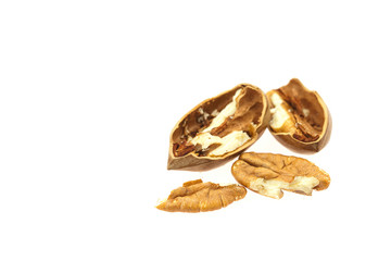 Pecan isolated on white