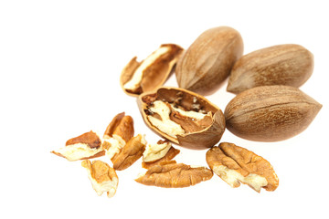 Pecan isolated on white