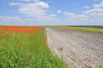 field © maniek210