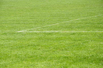 Gr&uuml;ner Fu&szlig;ballrasen mit Spielfeldmarkierung