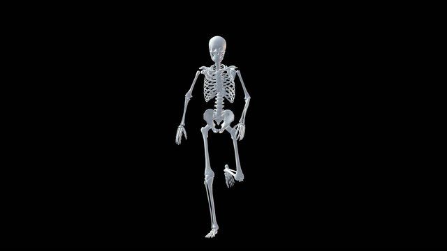Skeleton Running