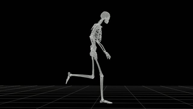 Skeleton Running