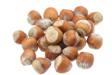 hazelnuts isolated on white