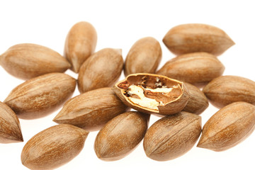 Pecan isolated on white