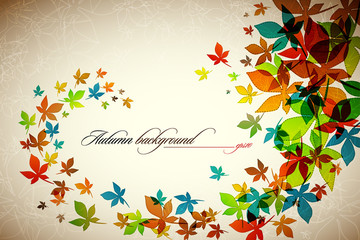 Autumn Background | Falling Leaves