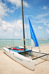 Catamaran on the Beach