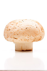 Button mushroom isolated on white