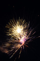 Fototapeta premium fireworks in the night sky