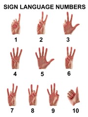 Sign Language Numbers