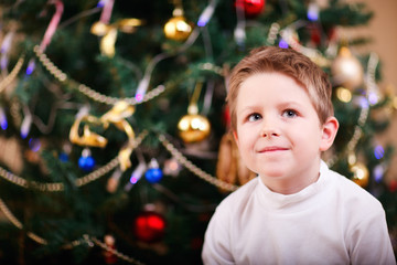 Christmas boy portrait