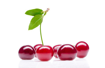 Cherry