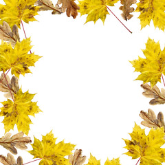 Mapple and Oak leaves in Autumn-close