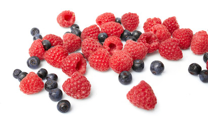 berries on white background