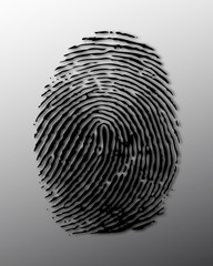 Fingerprint with  shadow