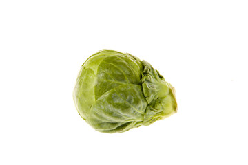 Fototapeta premium Rosenkohl 002