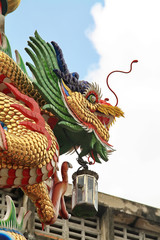 Fototapeta premium dragon on blue sky