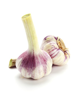 frischer knoblauch isoliert