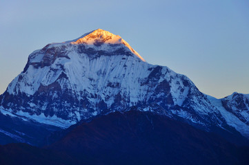 Dhaulagiri at Sunrise
