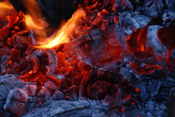 Fire coals after wooden camp fire.