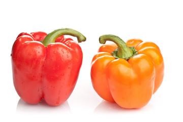 Red and orange paprikas on white background