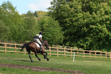 Eventing x country