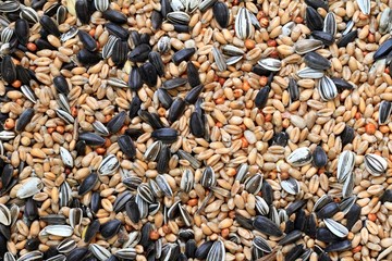 Nourriture pour oiseaux