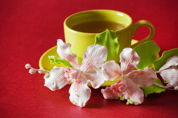 Obraz na płótnie Canvas The cup of green tea with caramel orchid on red background