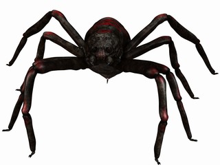 Fantasy Spider