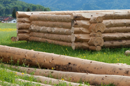 Holzhausbau