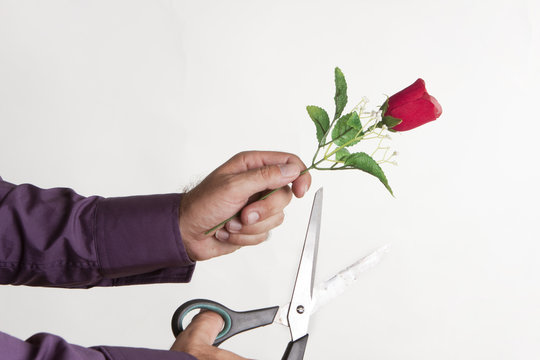 se rompio el amor