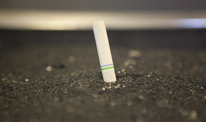 Cigarette Butt