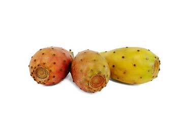 Three prickly pears